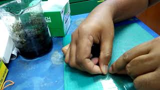 Dr blade technique on flexible substrate