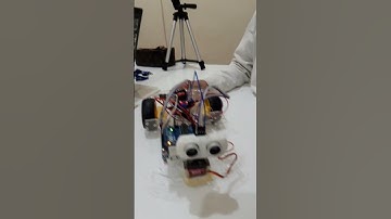 Robotic Kids
