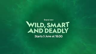 Wild, Smart And Deadly | Join The Wild Side