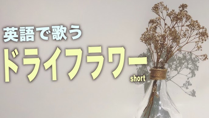 英語ver ドライフラワー By 優里 Castro Short Cover Youtube 英語ver ドライフラワー By 優里 Castro Short Cover Youtube