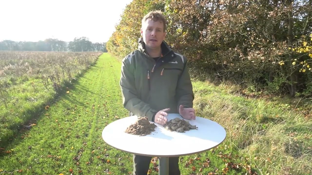 Flisesand og stabilgrus - samlet