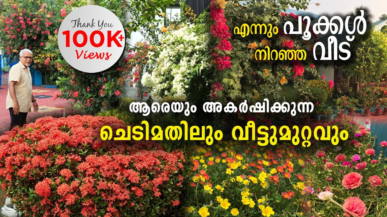എന്നും പൂക്കൾ നിറഞ്ഞ വീട് | ആരെയും അകർഷിക്കുന്ന ചെടിമതിലും വീട്ടുമുറ്റവും | Amazing Garden Tour