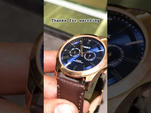 Timex Men Blue