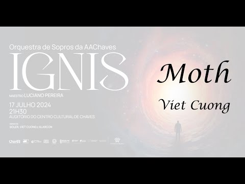Moth - Viet Cuong