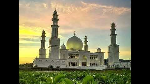 041سورة فصلت الشيخ ممدوح عبداللاه الهاشمي مم