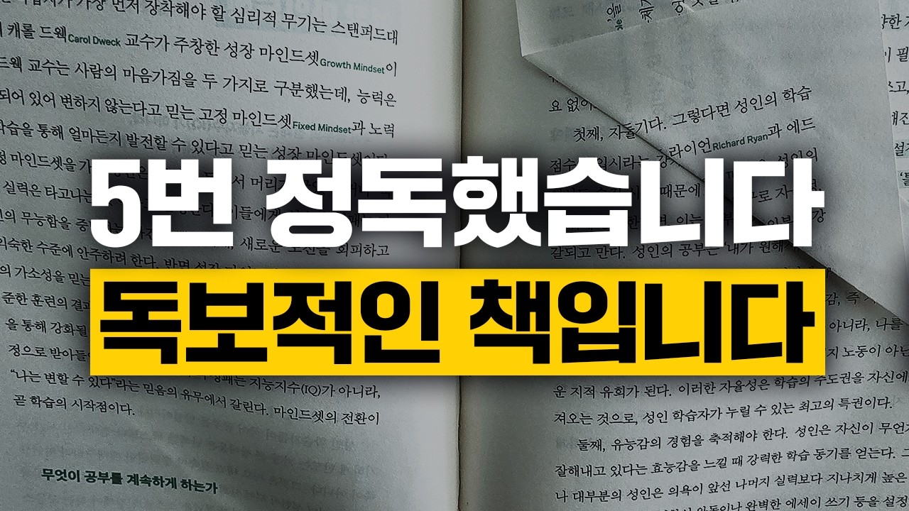 5번 정독했습니다. 독보적인 책입니다.