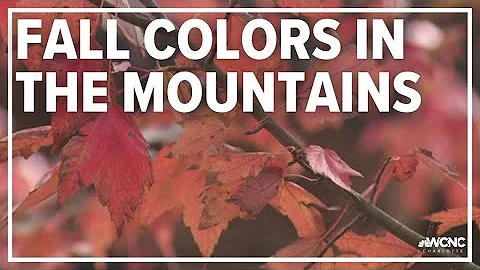 Fall foliage peaking in the mountains