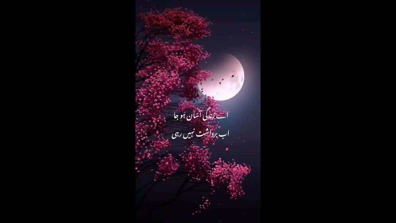 Two line poetry Whatsapp Status  sad urdupoetry Urdu shayari  poetry  shorts  sadstatus  eshooawan