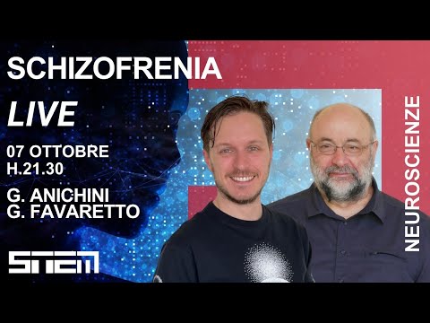 Schizofrenia Pt. 1: cos&rsquo;è e come si opera una diagnosi