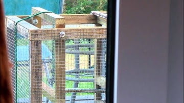 Larsen Trap In Action