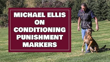 Michael Ellis on Conditioning Punishment Markers