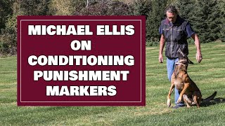 Michael Ellis on Conditioning Punishment Markers