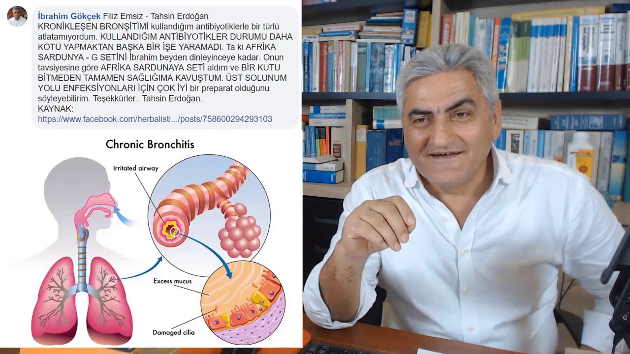 Bronşite Bitkisel Çözüm, Bronşit Nedir?, Akciğer İltihabına Ne İyi