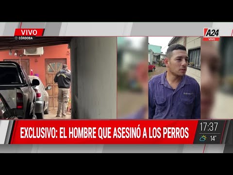 Córdoba: 2 PERROS DOGOS se escaparon y MATARON a una adolescente