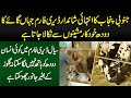 South Punjab Ka Shandar Dairy Farm Jahan Cow Milk Automatic Machine Se Nikala Jata Hai