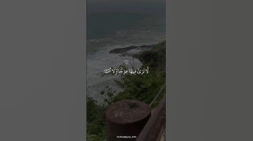 تلاوة خاشعة جميلة بصوت محمد اللحيدان ارح سمعك