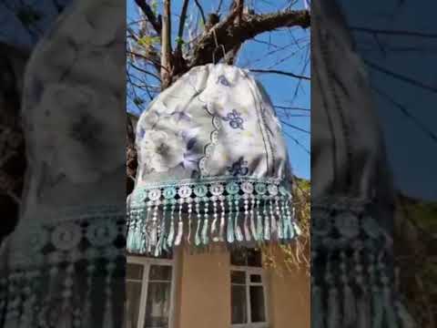 بلدرچین خوش صدا