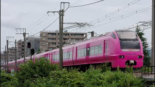 E129系車両不足による代走E653系U107編成【4K】信越本線3481M