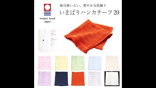 毎日使いたい 爽やかな肌触り 今治タオル ハンカチ 誕生日プレゼント 就職祝い 入学祝い 卒業祝い 誕生日プレゼント ホワイトデー 母の日 父の日 餞別 記念品 粗品 おまとめ買い