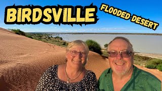 Birdsville & the flooded Simpson Desert 2026/33