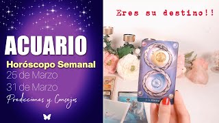 ⭐️ACUARIO! ESTA CONEXION ESTA ESCRITA... MIRA ESTO!! 💞♾️💞 HOROSCOPO SEMANAL Cordelia Tarot