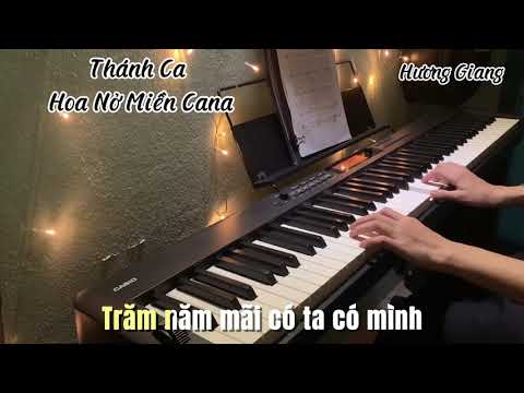 Video Thánh Ca Lễ cưới Hoa nở miền Cana || Piano Thánh Ca ||... - youtube