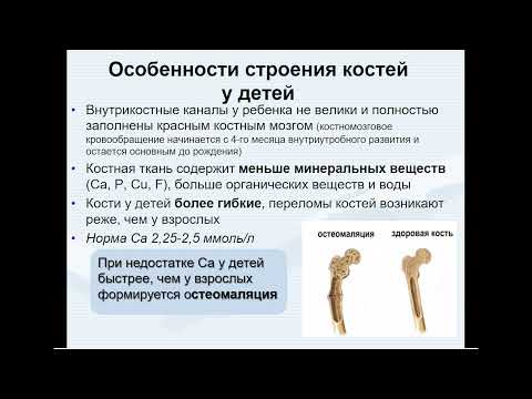 9:50 Анатомо-физиологические особенности костно-мышечной системы у детей