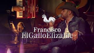 Francisco El Gallo Elizalde - Volveré A Amar chords