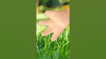Jeffy Touches Grass! | SML YTP