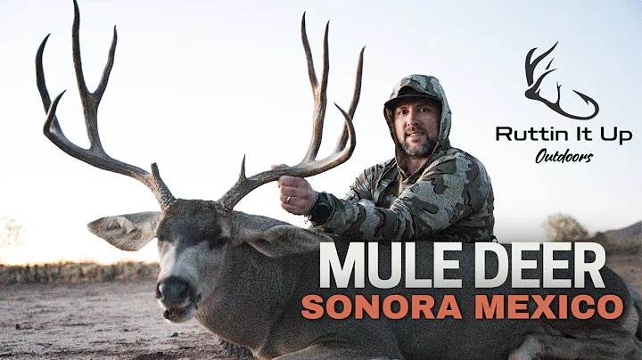 HUNTING GIANT MULE DEER IN MEXICO | FULL HUNT