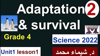 شرح ساينس المنهج الجديد رابعة ابتدائى تجريبى ولغات 2022 - Science grade 4 - Adaptation and survival