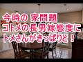 【スカッとする話】今時の家問題 コトメの長男嫁態度に、トメさんがきっぱりと！