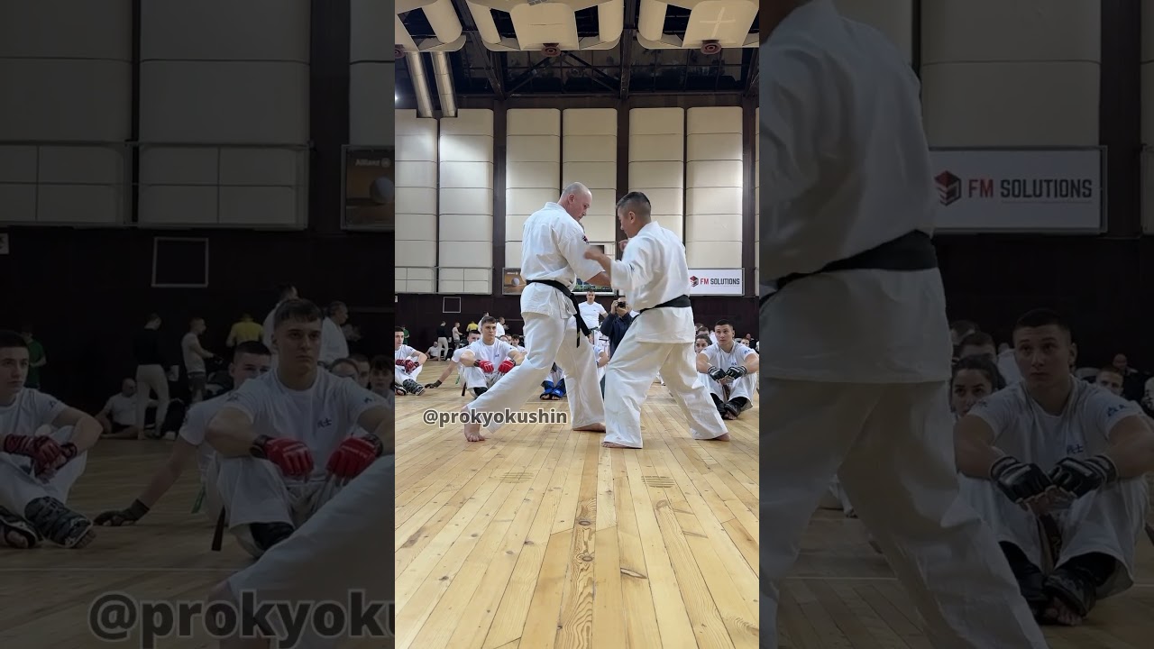 KWU SENSHI Camp: 21-23.02.2025 Varna, Bulgaria Shihan Ryu Narushima 