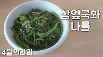 꽃나물무침