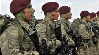 Bordo Bereliler Hakkında İlgi̇nç Bi̇lgi̇ler