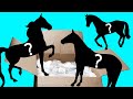 Unboxing the Model Horse Collection I Bought || Part 11 || Breyer Classics, Traditionals, &amp; More!