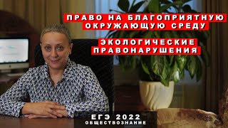 Право на благоприятную окружающую среду. Экологические правонарушения | #ЕГЭ обществознание 2022