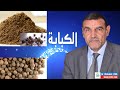 الكبابة Cubeb الدكتور محمد فائد 
