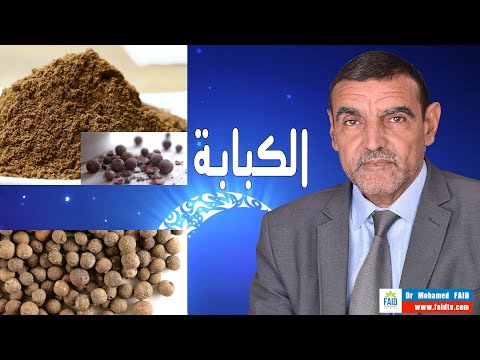 الكبابة  الدكتور محمد فائد