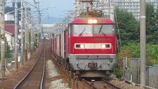 EF510-19牽引貨物列車 土山~魚住間にて