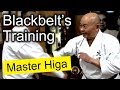 Blackbelt's Traning of Kobayashi Shorin-ryu Minoru Higa | Kakie |　小林流　比嘉稔先生のカキエ