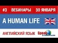 Вебинар по английскому языку. Путешествия и жизнь за рубежом. Елена Шипилова