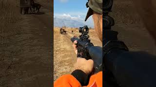 Лицом к лицу охота на кабана — безумный момент! 😱🐗