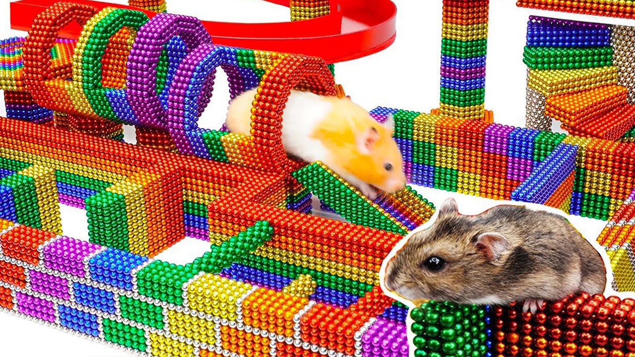 DIY - Build Fantastic Maze For Hamsters Pet From Magnetic Balls | Fun Fun Magnet - YouTube
