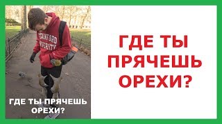 Лютые приколы. Где ты прячешь орехи?