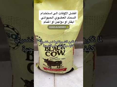 متى استخدم السماد البقري