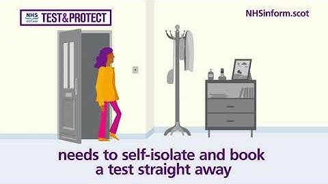 Test and Protect: For anyone with coronavirus symptoms