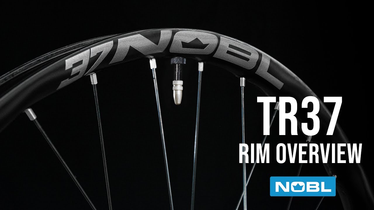 29 TR41 XD Industry Nine Hydra 6-Bolt Silver 32H D-light Spokes / Alloy  Nipples - NOBL Wheels