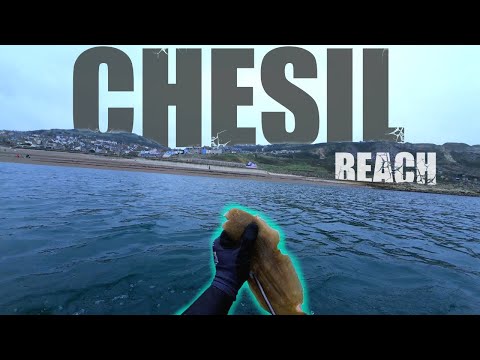 Last Dive of 2024! UK Spearfishing At Chesil Beach, Catching My First Dover Sole!