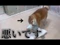 イタズラするには理由があります。